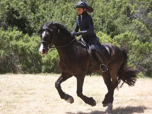 Equestrian Endurance Helmet Visor Brim