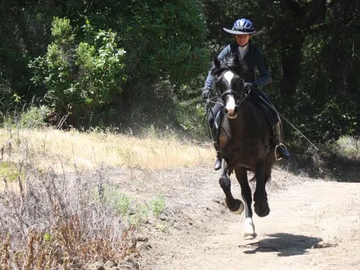 Equestrian Endurance Helmet Visor Brim